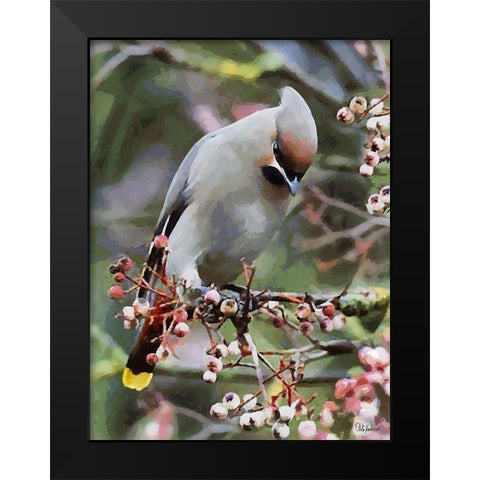 White Bird Black Modern Wood Framed Art Print by Medeiros, Celito