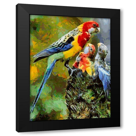 Parrot Family Black Modern Wood Framed Art Print with Double Matting by Medeiros, Celito