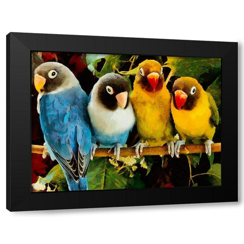 Four Parrots Black Modern Wood Framed Art Print with Double Matting by Medeiros, Celito