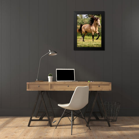 Brown Horse on the Meadow Black Modern Wood Framed Art Print by Medeiros, Celito