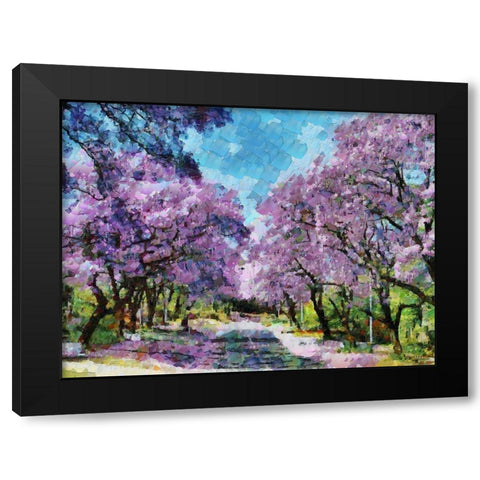 Paradise Road I Black Modern Wood Framed Art Print by Medeiros, Celito