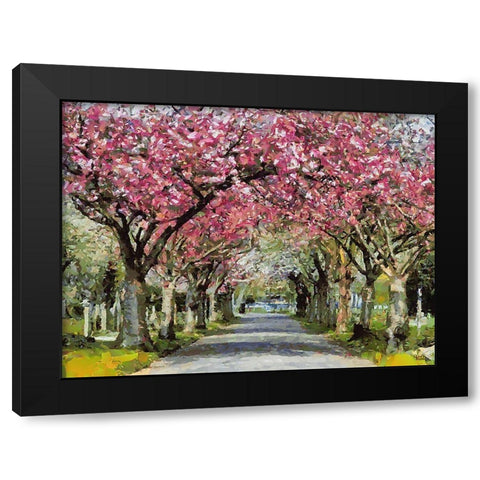 Paradise Road III Black Modern Wood Framed Art Print with Double Matting by Medeiros, Celito