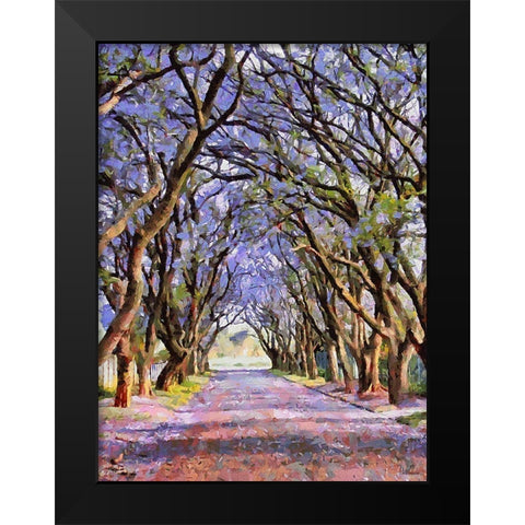 Paradise Road V Black Modern Wood Framed Art Print by Medeiros, Celito