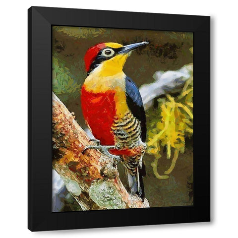 Red and Yellow Bird Black Modern Wood Framed Art Print with Double Matting by Medeiros, Celito