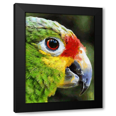Green Parrot Black Modern Wood Framed Art Print with Double Matting by Medeiros, Celito