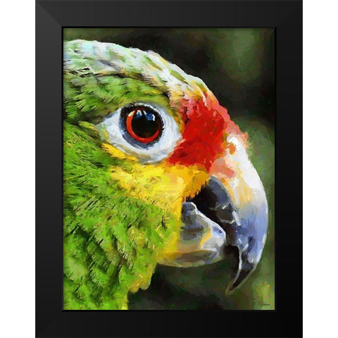 Green Parrot Black Modern Wood Framed Art Print by Medeiros, Celito