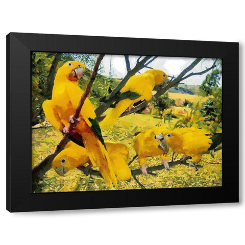 Five Yellow Parrots Black Modern Wood Framed Art Print with Double Matting by Medeiros, Celito