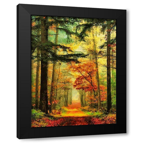 Autumn Walk in the Wood I Black Modern Wood Framed Art Print with Double Matting by Medeiros, Celito