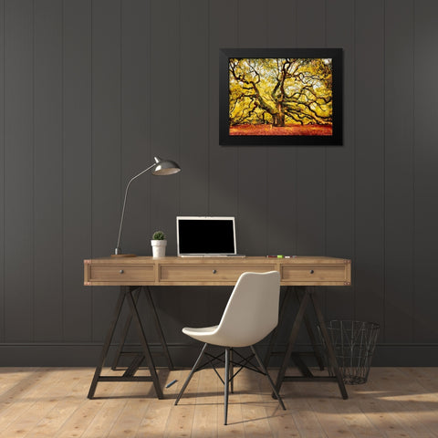 A Big Tree Black Modern Wood Framed Art Print by Medeiros, Celito