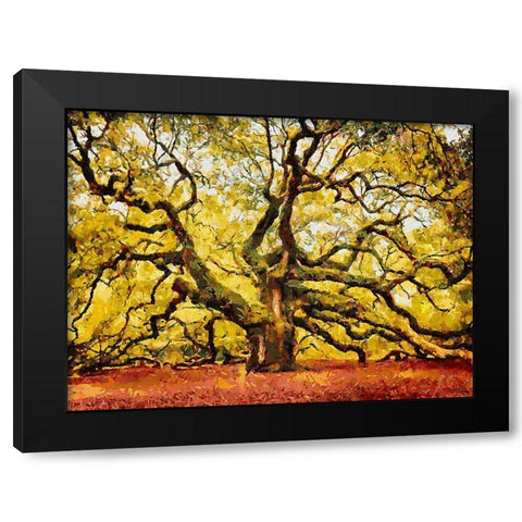 A Big Tree Black Modern Wood Framed Art Print with Double Matting by Medeiros, Celito