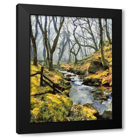 Stream in the Wood Black Modern Wood Framed Art Print with Double Matting by Medeiros, Celito