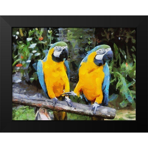 Two Parrots Black Modern Wood Framed Art Print by Medeiros, Celito