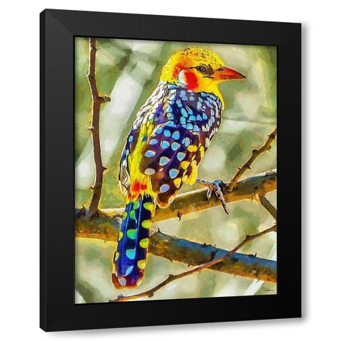 Nice colorful Bird Black Modern Wood Framed Art Print with Double Matting by Medeiros, Celito