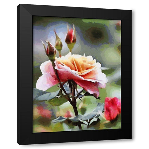 Rose Black Modern Wood Framed Art Print by Medeiros, Celito