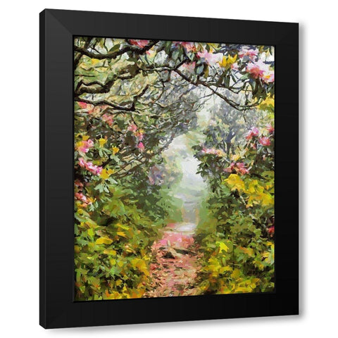 Path under Magnolia Trees Black Modern Wood Framed Art Print by Medeiros, Celito