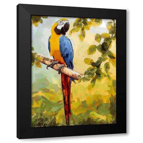 One Big Parrot Black Modern Wood Framed Art Print with Double Matting by Medeiros, Celito