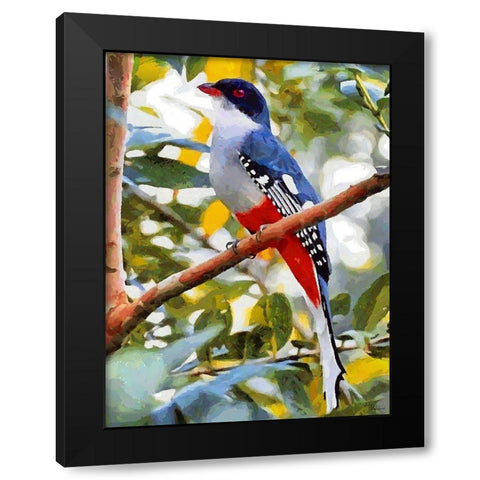 Red and Blue Colored Bird Black Modern Wood Framed Art Print by Medeiros, Celito