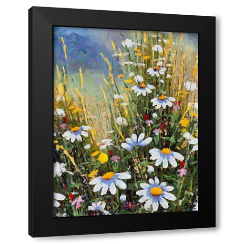 Meadow with Daisies II Black Modern Wood Framed Art Print by Medeiros, Celito