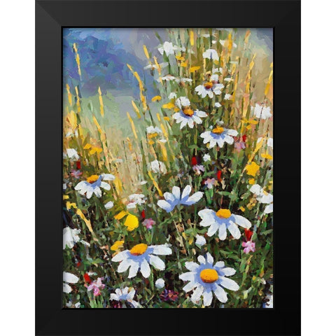 Meadow with Daisies II Black Modern Wood Framed Art Print by Medeiros, Celito