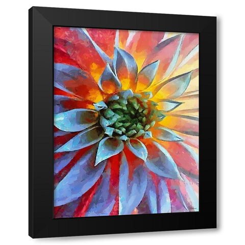 Flower in Red II Black Modern Wood Framed Art Print with Double Matting by Medeiros, Celito