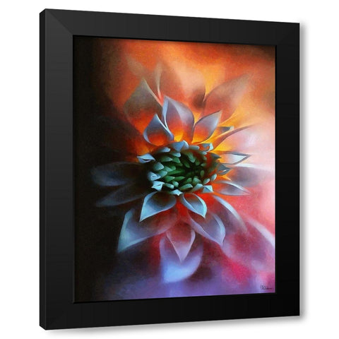 Flower in Red III Black Modern Wood Framed Art Print by Medeiros, Celito