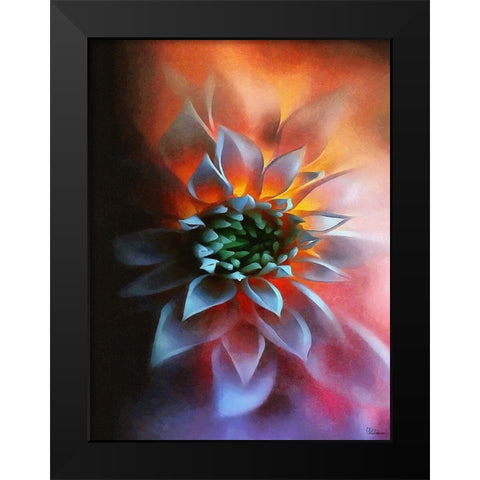 Flower in Red III Black Modern Wood Framed Art Print by Medeiros, Celito