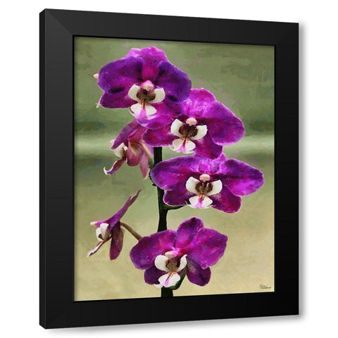 Purple Orchid Black Modern Wood Framed Art Print by Medeiros, Celito