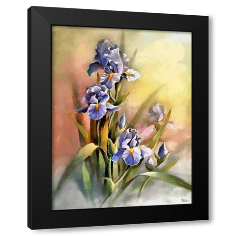 Blue Iris Black Modern Wood Framed Art Print with Double Matting by Medeiros, Celito