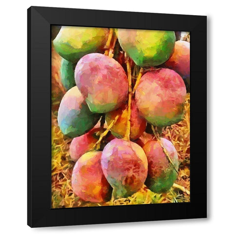 Mango Black Modern Wood Framed Art Print with Double Matting by Medeiros, Celito