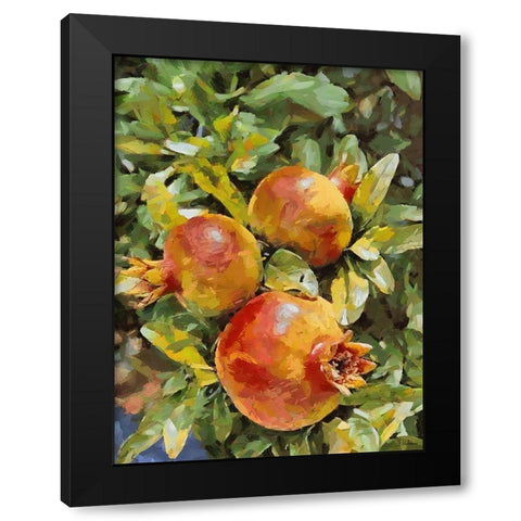 Pomegranate II Black Modern Wood Framed Art Print by Medeiros, Celito