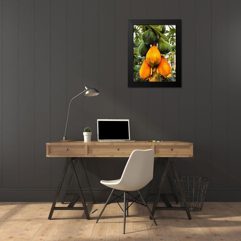 Papaya Black Modern Wood Framed Art Print by Medeiros, Celito