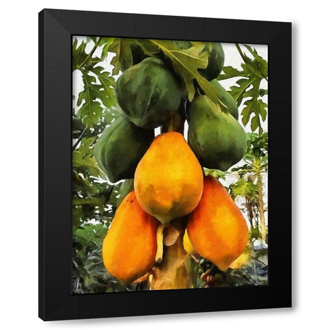 Papaya Black Modern Wood Framed Art Print by Medeiros, Celito