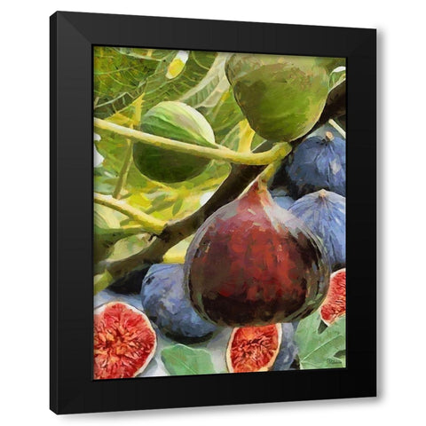 Figs Black Modern Wood Framed Art Print by Medeiros, Celito