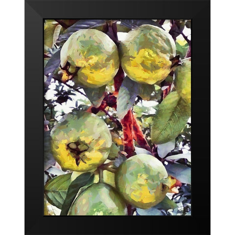 Passion Fruit Black Modern Wood Framed Art Print by Medeiros, Celito