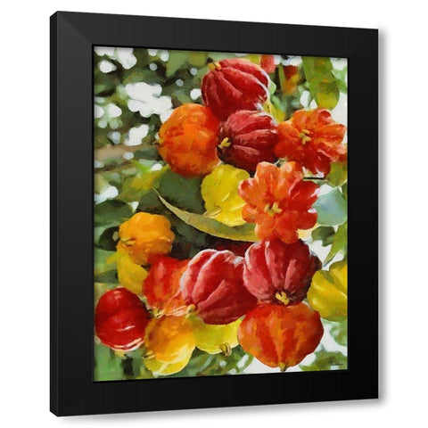 Tropical Fruit III Black Modern Wood Framed Art Print by Medeiros, Celito