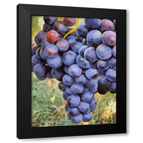 Grapes Black Modern Wood Framed Art Print with Double Matting by Medeiros, Celito