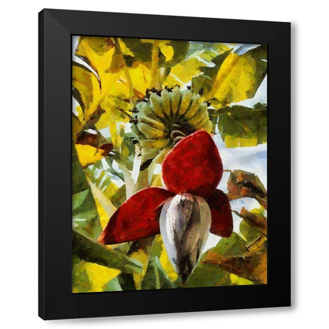 Banana Tree III Black Modern Wood Framed Art Print by Medeiros, Celito