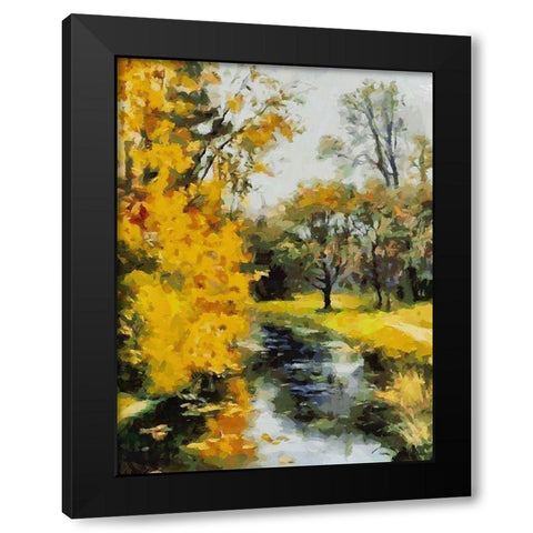 Stream in Autumn VI Black Modern Wood Framed Art Print with Double Matting by Medeiros, Celito