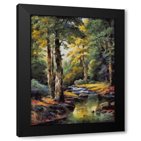 Summer Stream I Black Modern Wood Framed Art Print by Medeiros, Celito