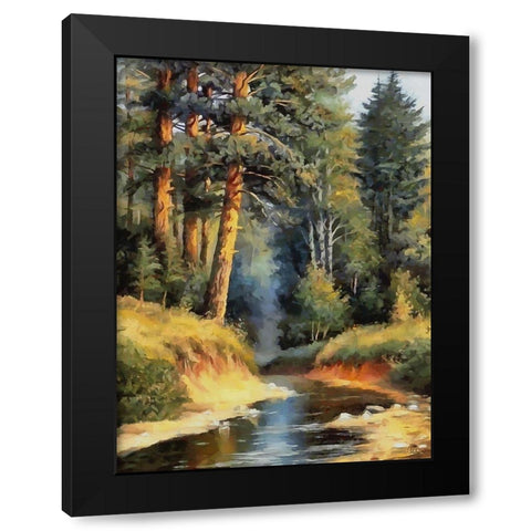Summer Stream II Black Modern Wood Framed Art Print by Medeiros, Celito