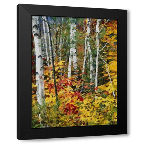 Birch Variation II Black Modern Wood Framed Art Print by Medeiros, Celito