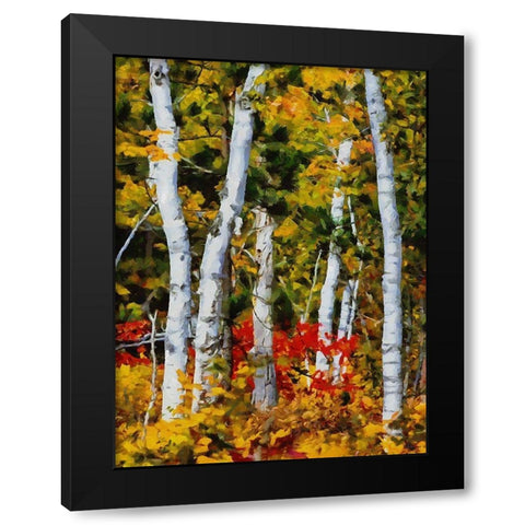 Birch Variation III Black Modern Wood Framed Art Print with Double Matting by Medeiros, Celito