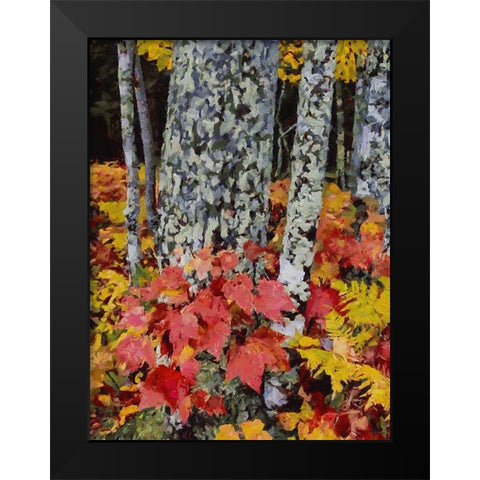 Birch Variation V Black Modern Wood Framed Art Print by Medeiros, Celito