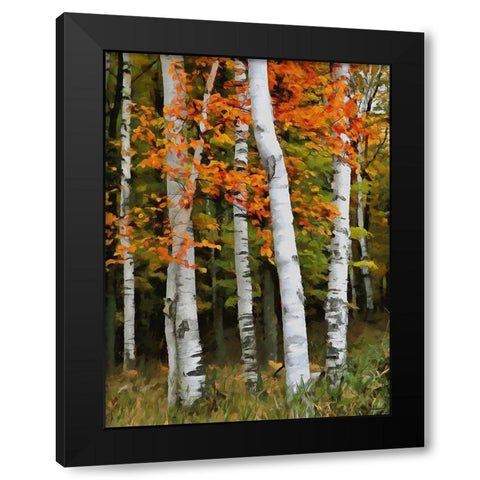 Birch Variation VI Black Modern Wood Framed Art Print with Double Matting by Medeiros, Celito