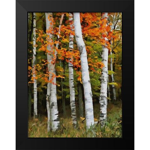 Birch Variation VI Black Modern Wood Framed Art Print by Medeiros, Celito