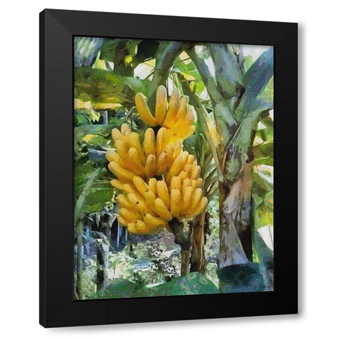 Banana Tree Black Modern Wood Framed Art Print with Double Matting by Medeiros, Celito