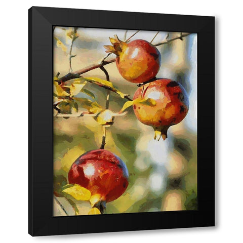 Pomegranate Tree Black Modern Wood Framed Art Print by Medeiros, Celito