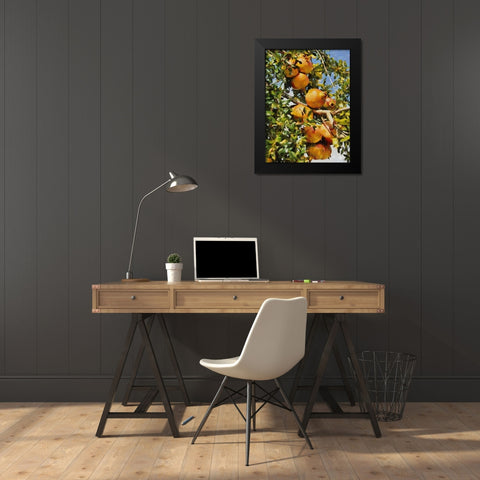 Pomegranate Tree II Black Modern Wood Framed Art Print by Medeiros, Celito