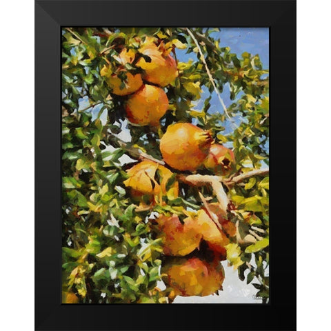 Pomegranate Tree II Black Modern Wood Framed Art Print by Medeiros, Celito