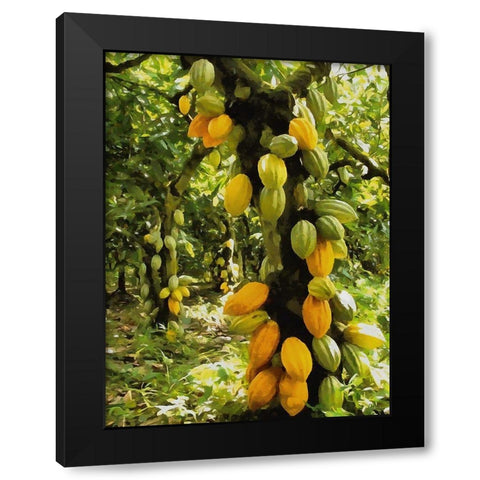 Tropical Fruit Tree III Black Modern Wood Framed Art Print with Double Matting by Medeiros, Celito